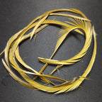 blue winged olive
