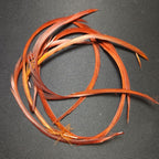 rusty spinner