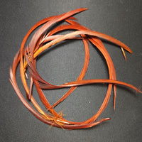 20221027-091607