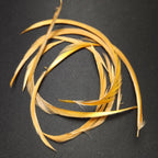 tannish yellow