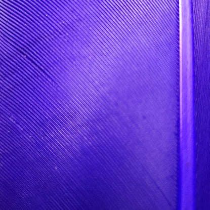 20221027-093100