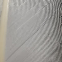 20221027-093251