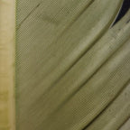 pale olive