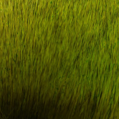 20221027-110027