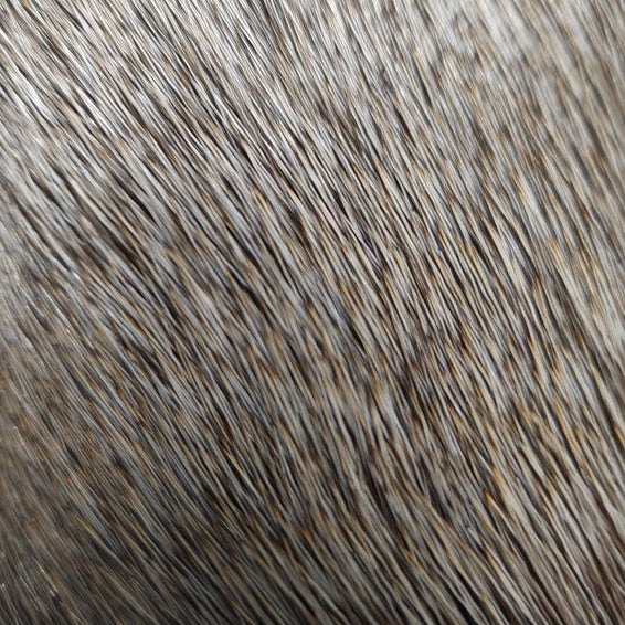 20221027-110059
