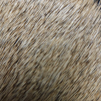 20221027-110121