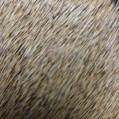 20221027-110121