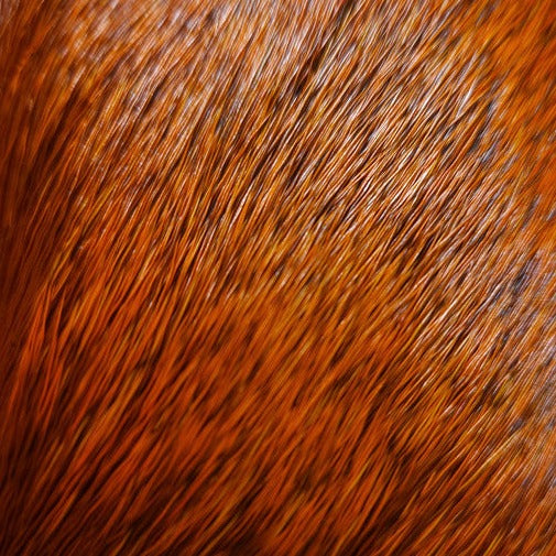 20221027-110209