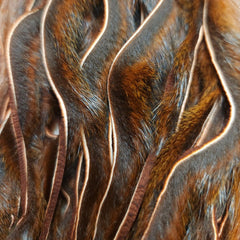 20221028-113313