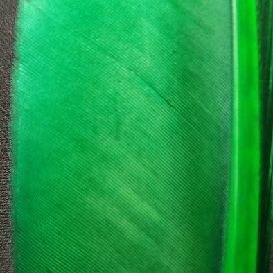 20221028-135738