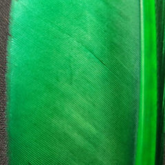 20221028-135738