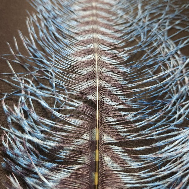 20221028-140845