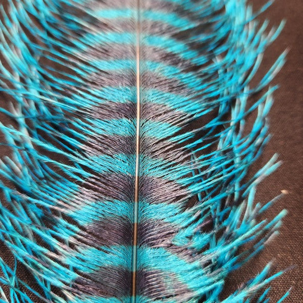 Barred Ostrich Plume | Montana Fly | J Stockard
