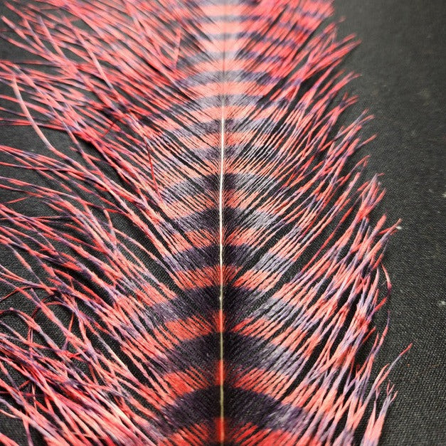 20221028-141858