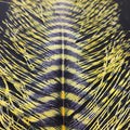 Barred Ostrich Plume