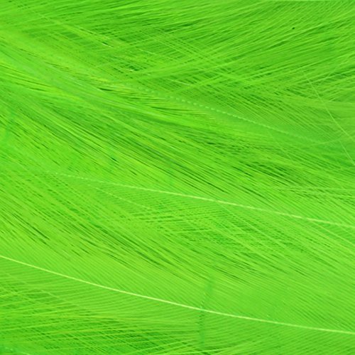 3c43c201-2b1f-4b95-ada9-45fcbf83b439_1