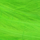 3c43c201-2b1f-4b95-ada9-45fcbf83b439_1