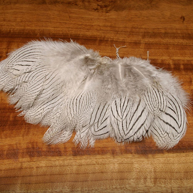 Strung Silver Pheasant Body Feathers