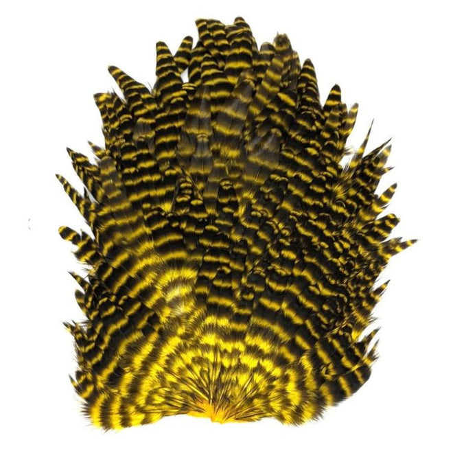 750x-13683
