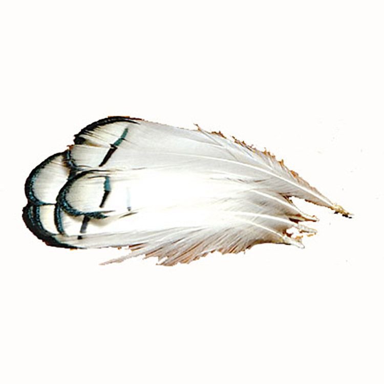 750x-5369