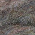 hare's ear