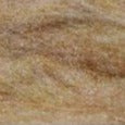 hexagenia