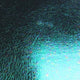 CLF282