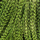 Chartreuse_Green_55_1024x1024_f2654b64-0564-4c38-b