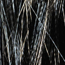 Clear_65_1024x1024_d5f05a8e-82bb-4f50-973a-767338e