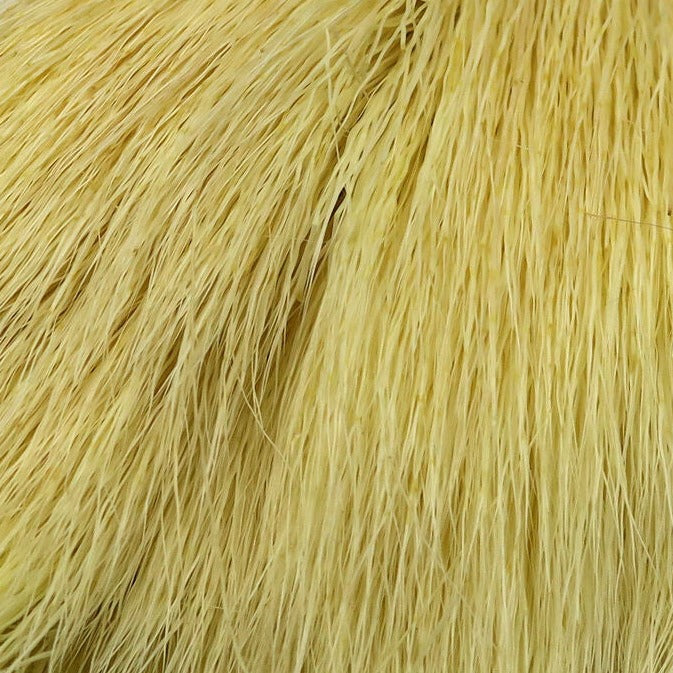 DBHD72