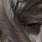 charcoal gray