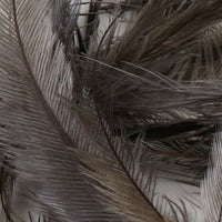 EMU065