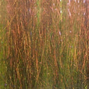 F14473_PearlYellowBronze_01