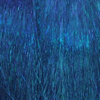 peacock eye