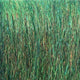 F14474_PeacockGreen_01