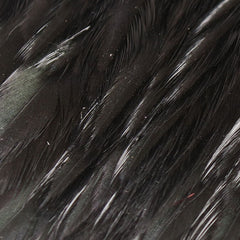HENC11