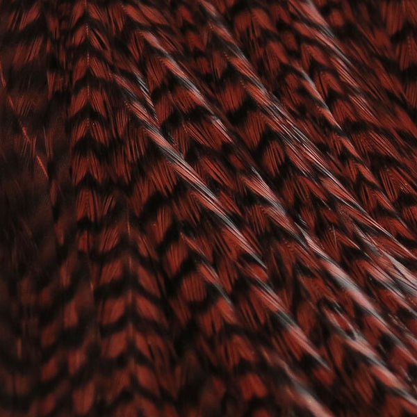 Vibrant Grizzly Half Cape | Premium Feathers | J Stockard