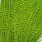 grizzly chartreuse