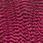 grizzly hot pink