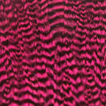 Hareline Half Cape
