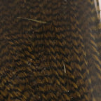 grizzly olive