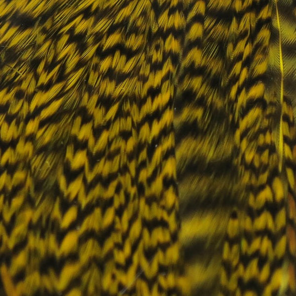 Vibrant Grizzly Half Cape | Premium Feathers | J Stockard