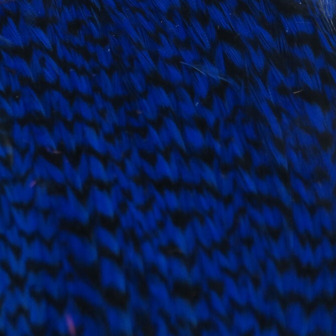 HHC23