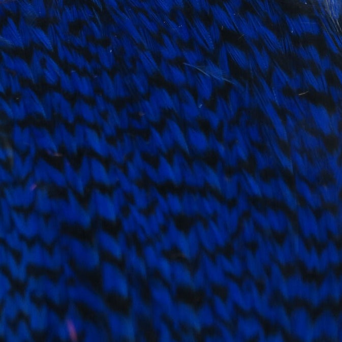 HHC23