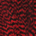 grizzly red