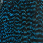 grizzly teal blue