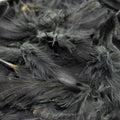 Premium Hungarian Partridge Feathers