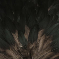 HSAD11