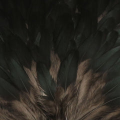 HSAD11