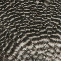 Hareline Hen Saddle